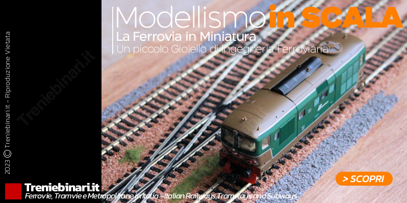 Il mondo del Modellismo Ferroviario in Scala per Veri Appassionati
